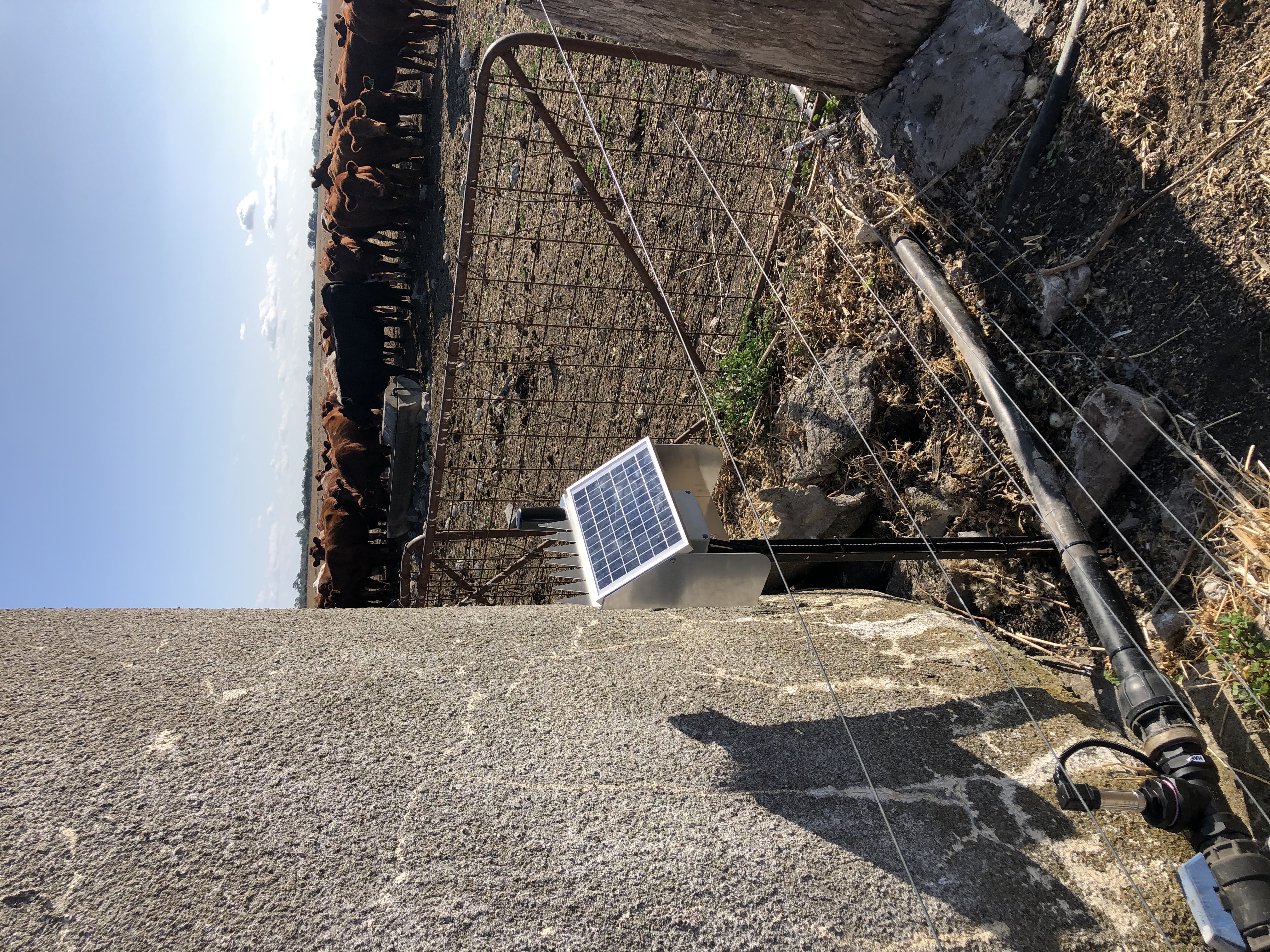 Tank Level External